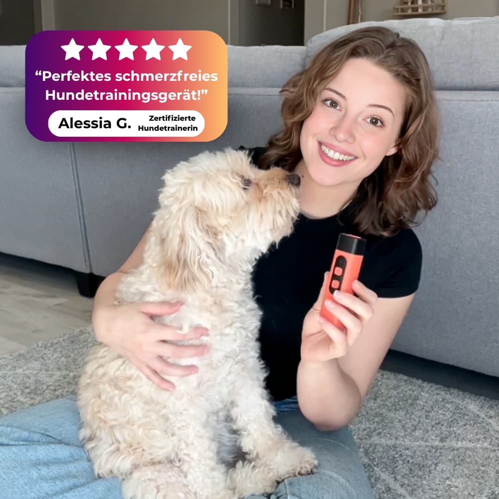 BarkStop Hundetrainer
